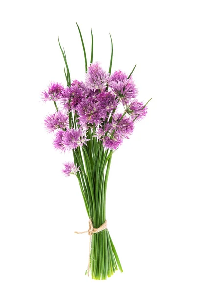 Paquete Cebollino Con Flores Aisladas Sobre Fondo Blanco — Foto de Stock