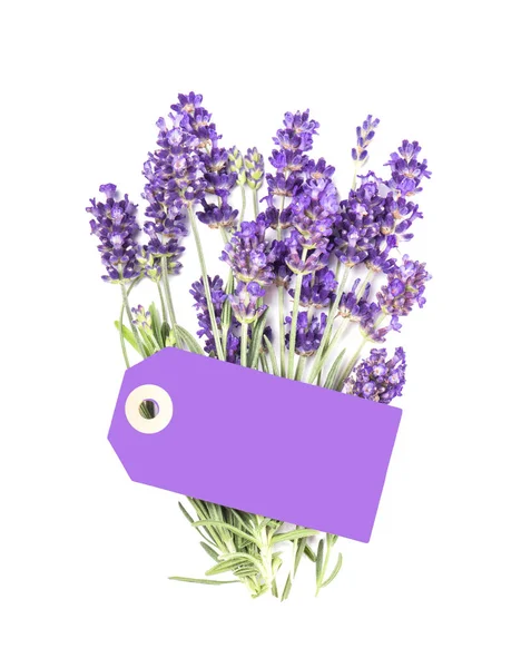 Bando Flores Lavanda Com Etiqueta Papel Isolada Fundo Branco — Fotografia de Stock