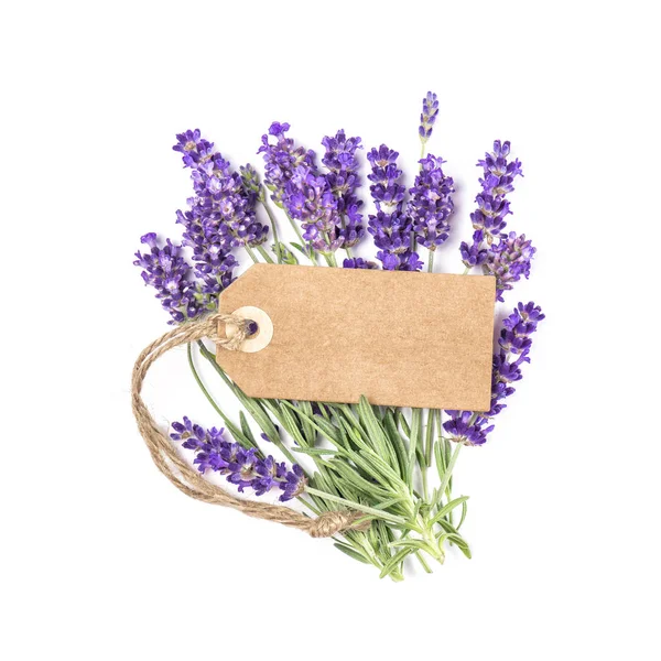 Fiore Lavanda Con Etichetta Carta Isolata Sfondo Bianco — Foto Stock