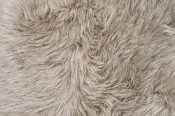 Natural Sheepskin Rug Background Wool Texture Sheep Fur — Stock Photo, Image