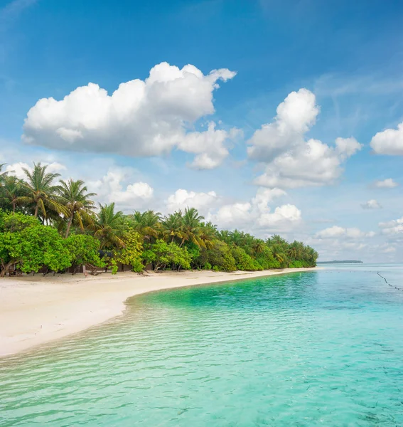 Tropischer Inselstrand Palmen Türkisfarbenes Wasser Blauer Himmel — Stockfoto