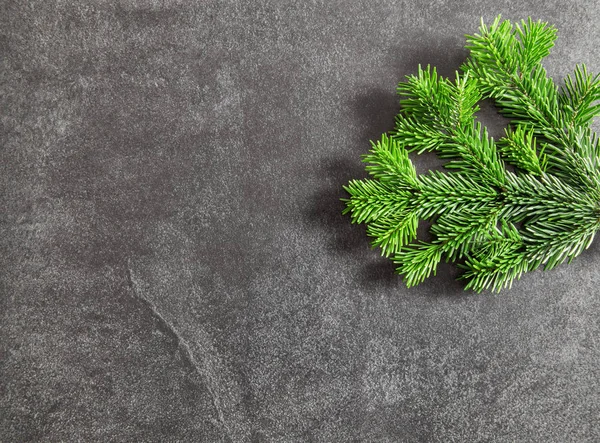 Christbaumzweige Auf Dunklem Hintergrund — Stockfoto