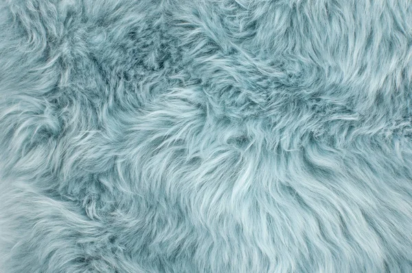 Blue Sheepskin Rug Background Wool Texture Close Sheep Fur — Stock Photo, Image