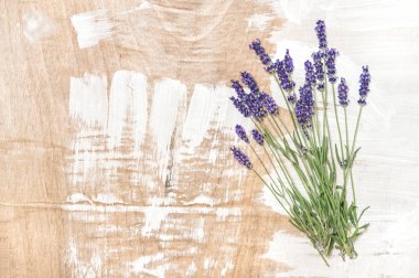 Ahşap doku lavanta çiçekleri. Vintage tarzı arka plan