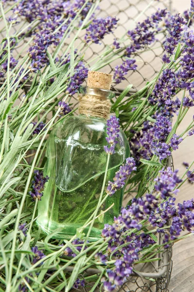 Aceite Lavanda Con Flores Frescas Hierbas Homeopáticas Enfoque Selectivo —  Fotos de Stock