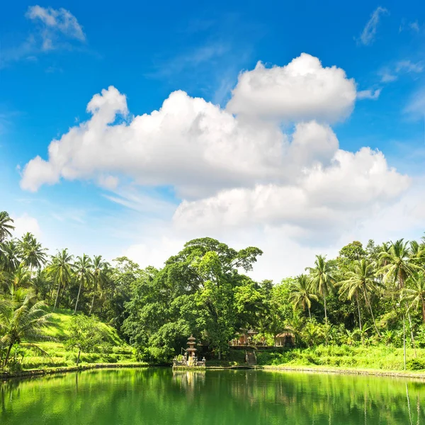 Tropical lake with palm trees and blue sky. Nature landscape. Ubud, Bali, Indonesia