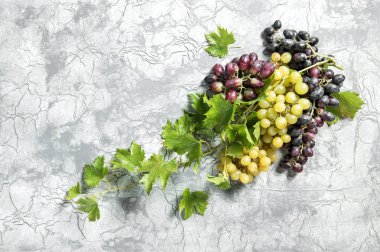 Üzüm asma yeşil yaprakları ile. Gıda arka plan