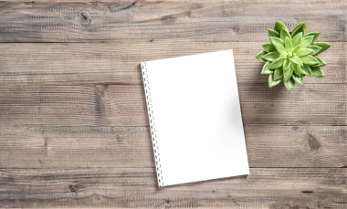 Kağıt Not defteri ve ahşap zemin üzerine etli bitki. Düz yatıyordu