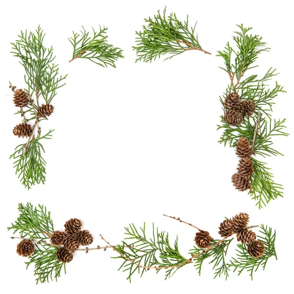 Floral Flat Lag Frame Achtergrond Kerst Decoratie Dennenappels — Stockfoto