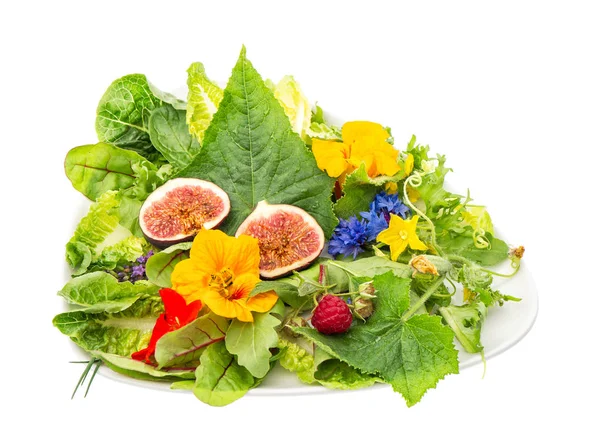 Zielona Sałata Fig Jadalne Kwiaty Ogrodowe Zdrowa Żywność — Zdjęcie stockowe