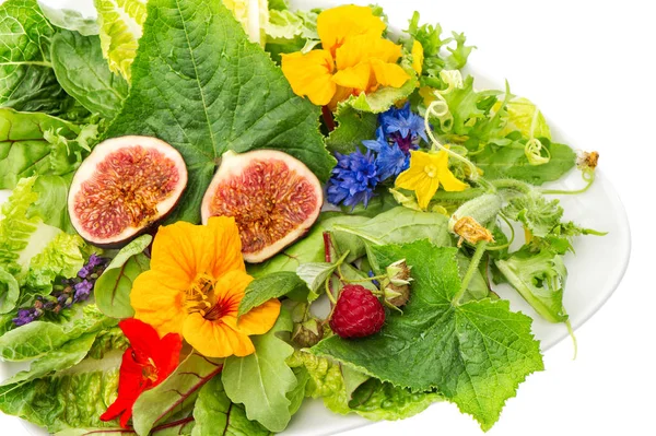 Folhas Salada Verde Com Figos Flores Jardim Comestíveis Alimentação Saudável — Fotografia de Stock
