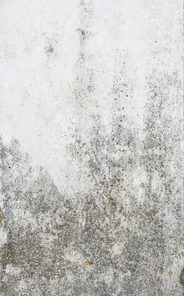 Concrete cement background. Grungy stone wall texture