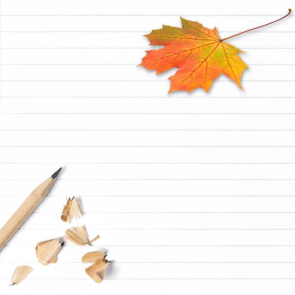 Cvičebnice Stránka Podzimní Javorový List Školní Pozadí — Stock fotografie