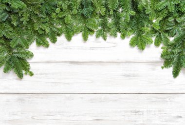 Noel ağacı dalları parlak ahşap zemin üzerinde. Çiçek afiş