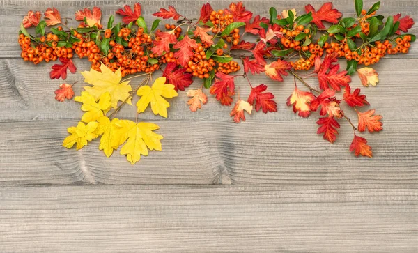 Fundo Outono Folhas Vermelhas Amarelas Textura Madeira Rústica — Fotografia de Stock