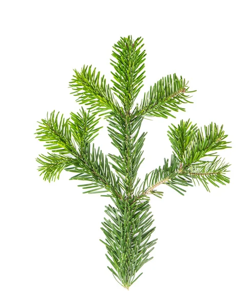 Vuren Twijgen Tak Van Kerstboom Geïsoleerd Witte Achtergrond — Stockfoto