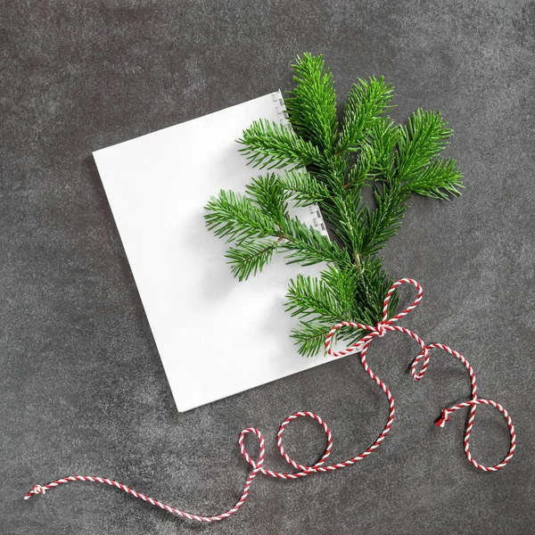 白の紙でクリスマス ツリーの分岐 最小フラット レイアウト — ストック写真