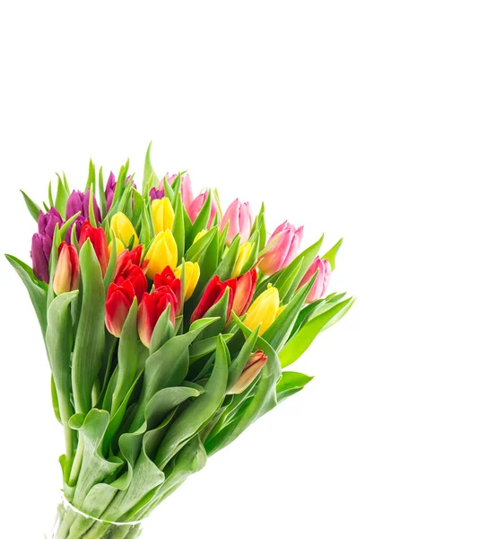 Tulipán Květy Kytice Izolovaných Bílém Pozadí — Stock fotografie