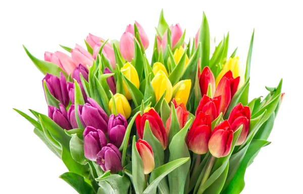 Kytice Čerstvých Vícebarevná Tulipán Květy Izolovaných Bílém Pozadí — Stock fotografie