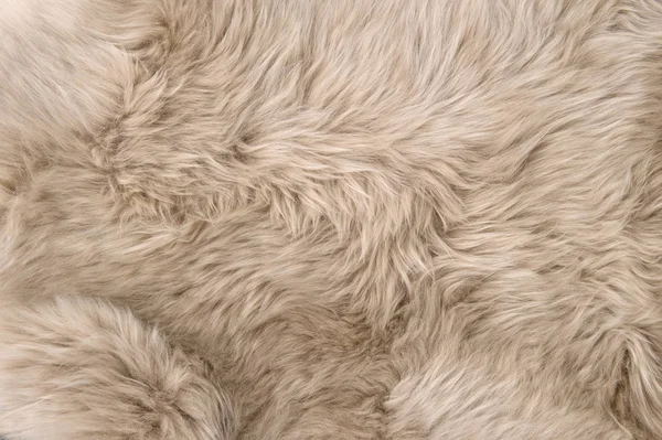 Sheep Fur Natural Sheepskin Rug Background Wool Texture — Stock Photo, Image
