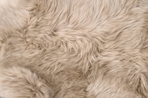 Sheep fur. Natural sheepskin rug background. Wool texture