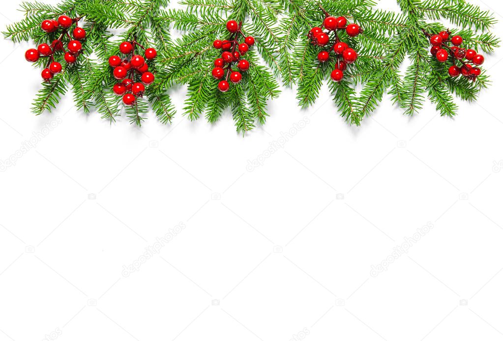 Christmas decoration pine branches with red berries on white background