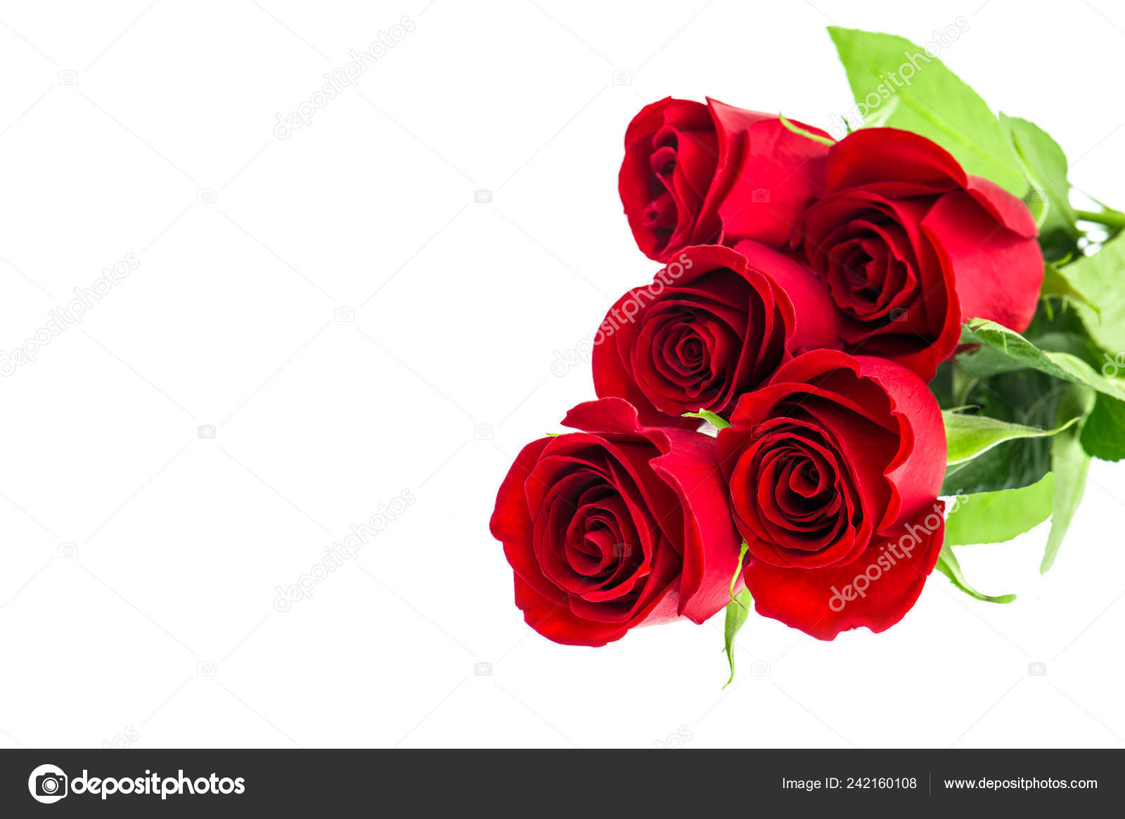 Bouquet Fleurs Rose Rouge Isolé Sur Fond Blanc