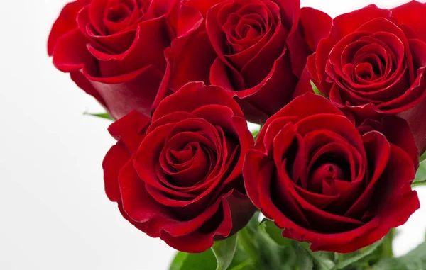 Rosas Rojas Sobre Fondo Blanco Tarjeta San Valentín Boda —  Fotos de Stock