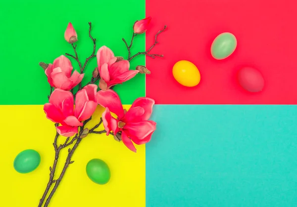 Пасхальні Яйця Магнолія Цвітуть Барвистому Фоні Весняні Квіти — стокове фото