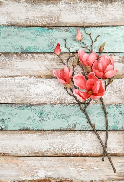 Magnolia Bloemen Decoratie Rustieke Houten Achtergrond — Stockfoto