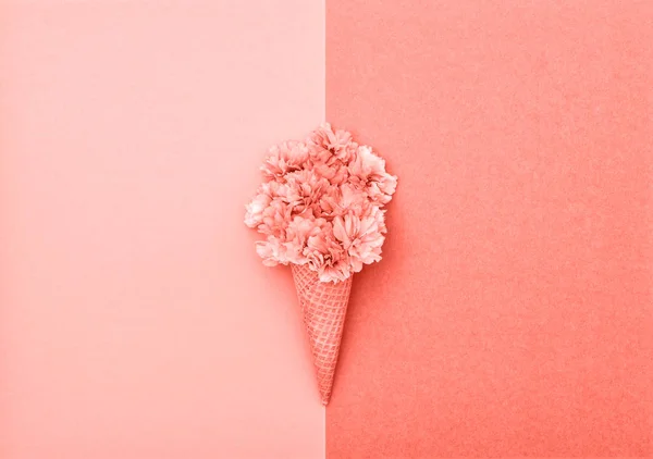 Cherry tree blossom in ice cream waffle cone on pink coral background. Styled flat lay