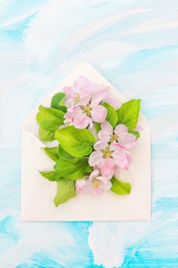 Bahar çiçekleri zarf Floral düz elma ağacı çiçeği yatıyordu