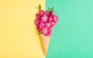 Şeftali ağacı çiçeği dondurma waffle koni pembe çiçekler