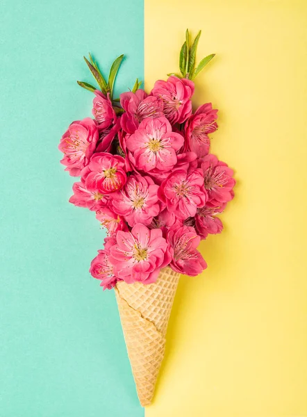 Peach tree blossom waffle cone Pink flowers — Stock Photo, Image