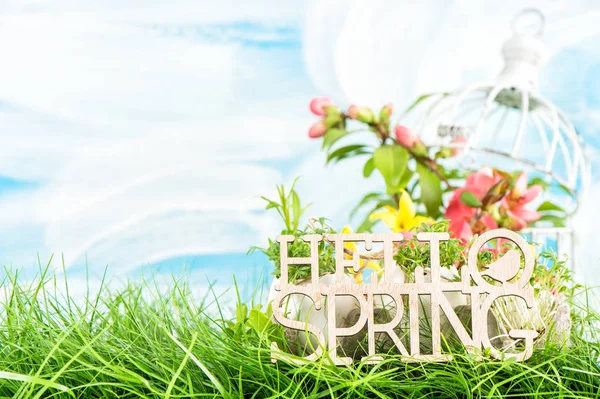Hello spring Pink yellow flowers green grass — Stock Photo, Image