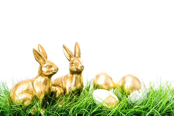 Golden rabbits Easter eggs green grass vibrant — Stock Photo, Image