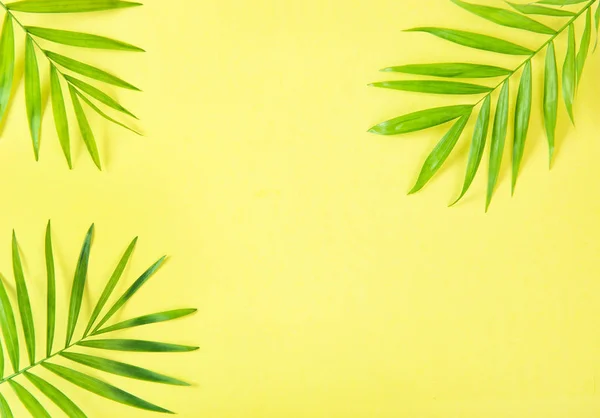Palmblätter gelb Hintergrund blumig flach legen Sommerferien — Stockfoto