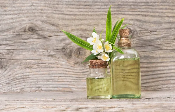 Eucalyptus Jasmine Herbal massage olja i flaska — Stockfoto