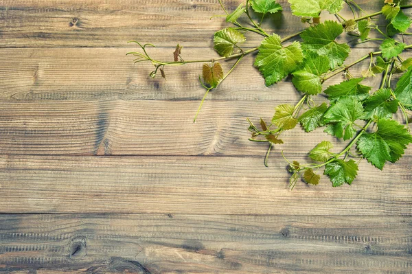 Vine leaves border wooden background vintage toned