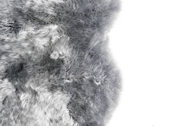 Gri koyun derisi arka plan Koyun kürk doku