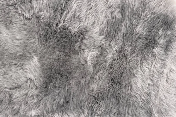Sheep fur Natural grey sheepskin rug background texture — Stock Photo, Image