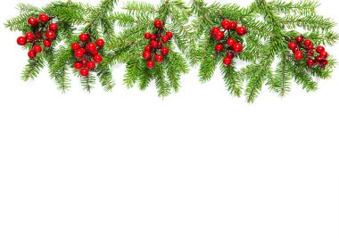 Noel ağacı dalları kırmızı meyveler tatil dekorasyon