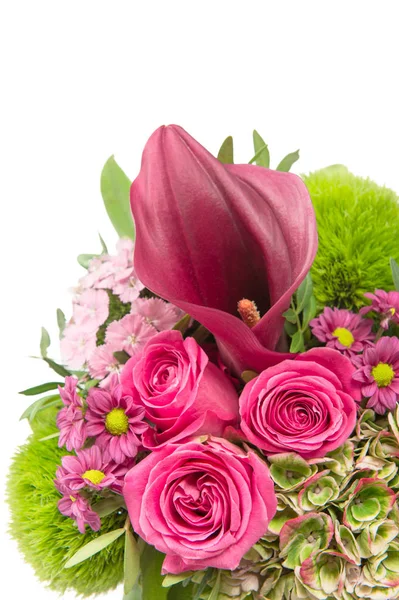 Roze rozen bloemen decoratie witte achtergrond — Stockfoto