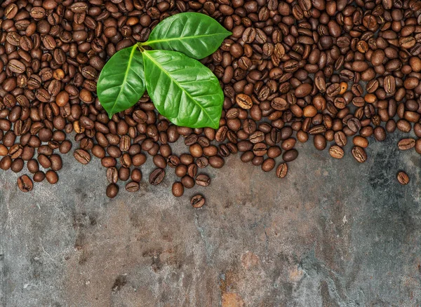Grains de café feuilles vertes fond métallique grungy — Photo