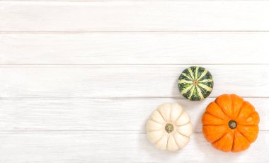 Balkabağı süslemesi Sonbahar Cadılar Bayramı Şükran Günü