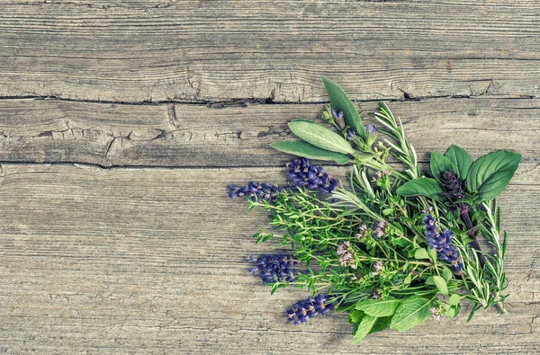 Fresh healthy herbs Basil rosemary mint sage thyme oregano laven — Stock Photo, Image
