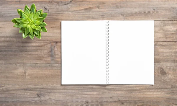 Livre de croquis papier blanc vert plante succulente plat lay — Photo