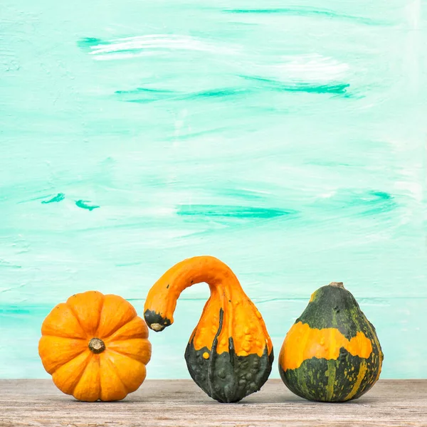 Pumpkin decoration Autumn Halloween Thanksgiving — Stock Photo, Image