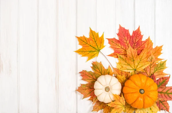 Pumpkin maple leaves decoration background Autumn Harvest Thanks — Stok fotoğraf
