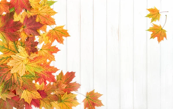 Folhas de bordo textura de madeira Outono fundo floral — Fotografia de Stock